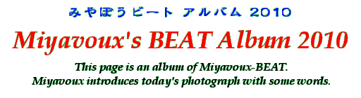 Title - Miyavoux's BEAT Album 2010