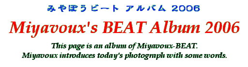 Title - Miyavoux's BEAT Album 2006