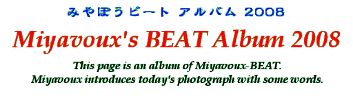 Title - Miyavoux's BEAT Album 2008