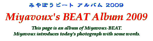 Title - Miyavoux's BEAT Album 2009